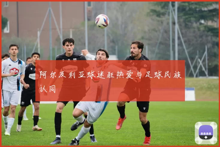 阿尔及利亚球迷狂热爱与足球民族认同