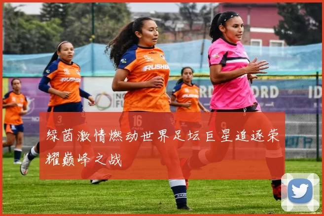 绿茵激情燃动世界足坛巨星追逐荣耀巅峰之战