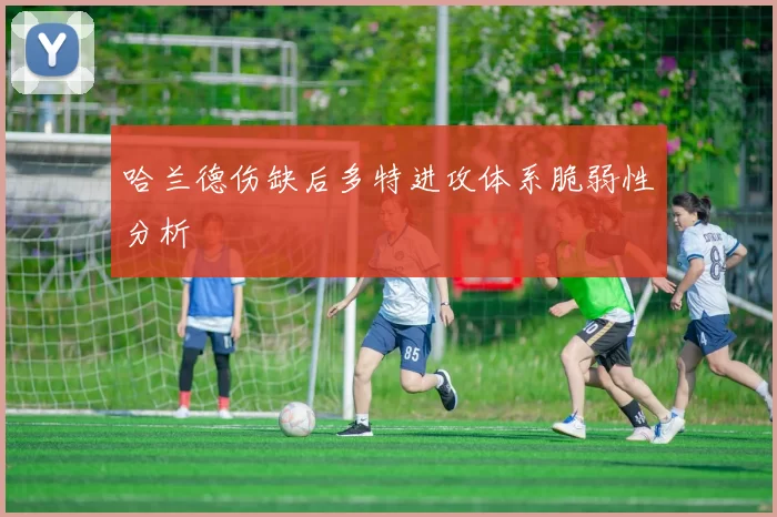 哈兰德伤缺后多特进攻体系脆弱性分析