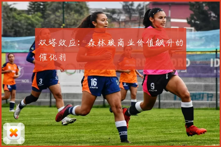 双塔效应：森林狼商业价值飙升的催化剂
